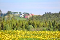 Headerfoto og ingressfoto: Eli Solvik.